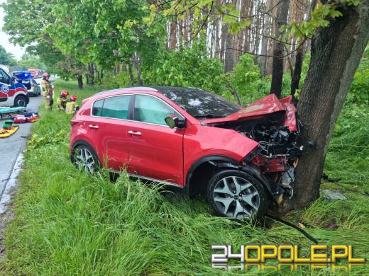 DK94: 66-latek kierujący osobówką uderzył w drzewo