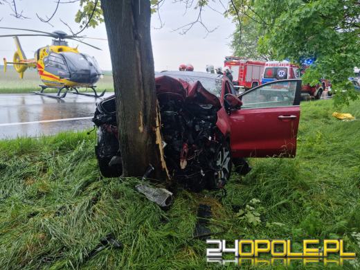 DK94: 66-latek kierujący osobówką uderzył w drzewo