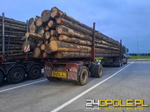 Przewóz drewna na lupie WITD. Posypały się mandaty i kary