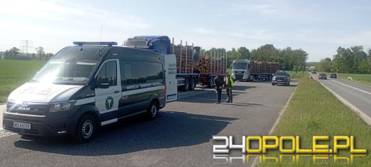 Przewóz drewna na lupie WITD. Posypały się mandaty i kary