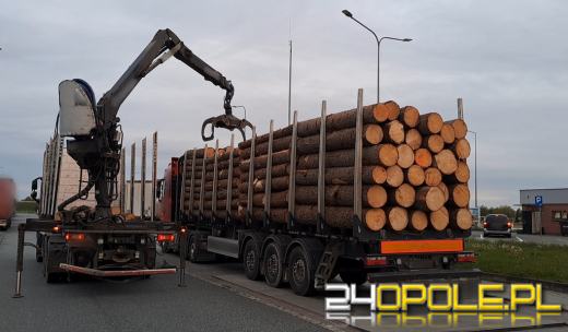 Przewóz drewna na lupie WITD. Posypały się mandaty i kary