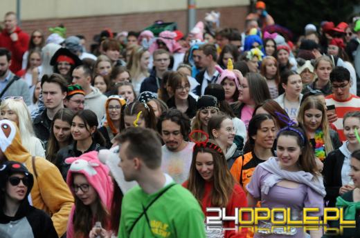 Klucz do bram miasta przejęli studenci. Za nami Żakinada