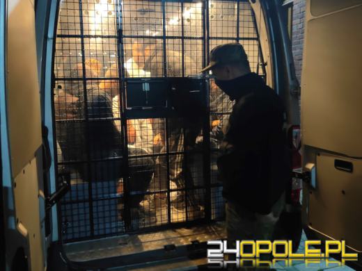 Wiózł 16 imigrantów 9-osobowym busem. Kurier zatrzymany