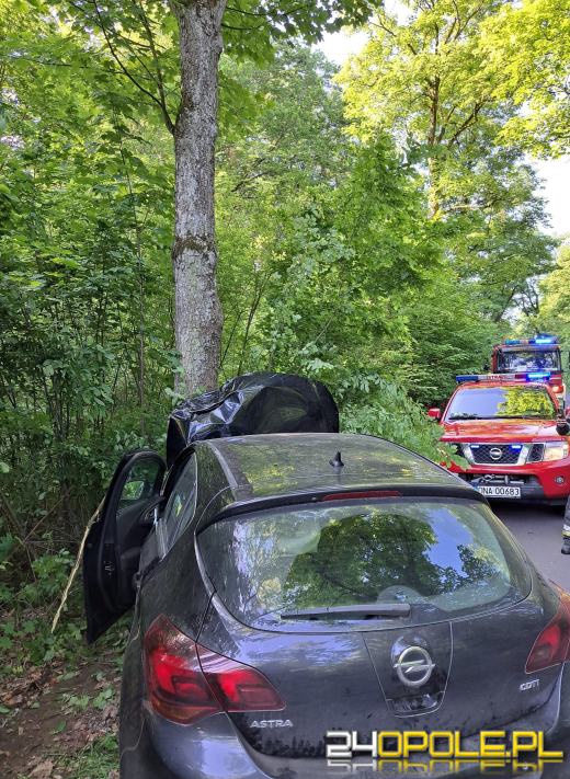 Utrudnienia w powiecie namysłowskim. Samochód osobowy uderzył w drzewo