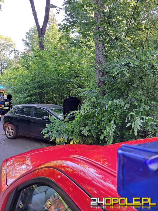 Utrudnienia w powiecie namysłowskim. Samochód osobowy uderzył w drzewo