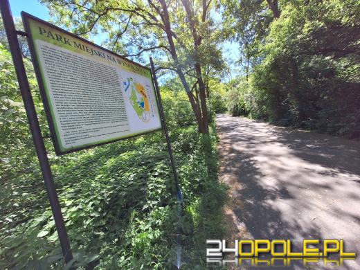 Wyspa Bolko obchodzi 110 urodziny