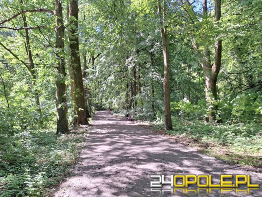 Wyspa Bolko obchodzi 110 urodziny