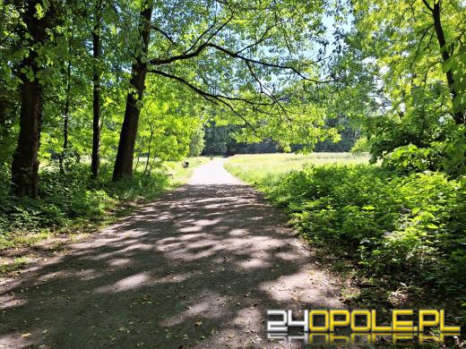 Wyspa Bolko obchodzi 110 urodziny