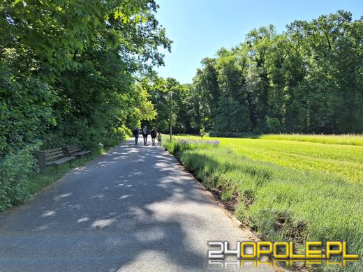 Wyspa Bolko obchodzi 110 urodziny