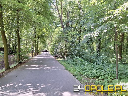 Wyspa Bolko obchodzi 110 urodziny
