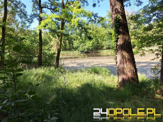 Wyspa Bolko obchodzi 110 urodziny