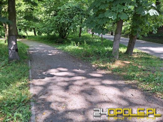 Wyspa Bolko obchodzi 110 urodziny