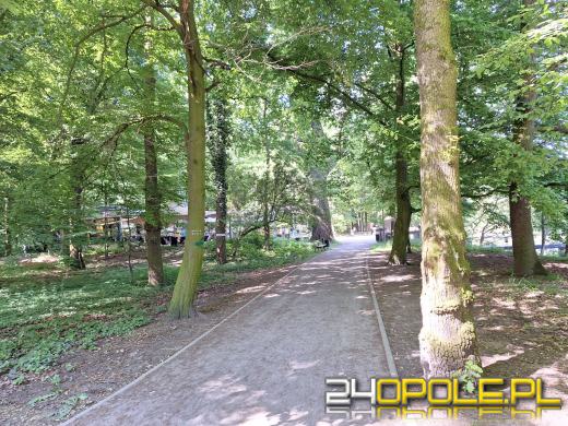 Wyspa Bolko obchodzi 110 urodziny