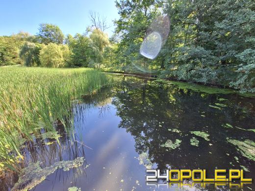 Wyspa Bolko obchodzi 110 urodziny