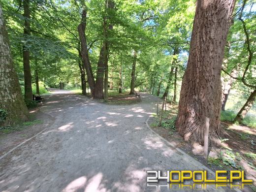 Wyspa Bolko obchodzi 110 urodziny