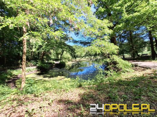 Wyspa Bolko obchodzi 110 urodziny
