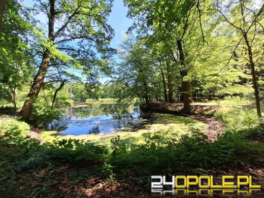 Wyspa Bolko obchodzi 110 urodziny