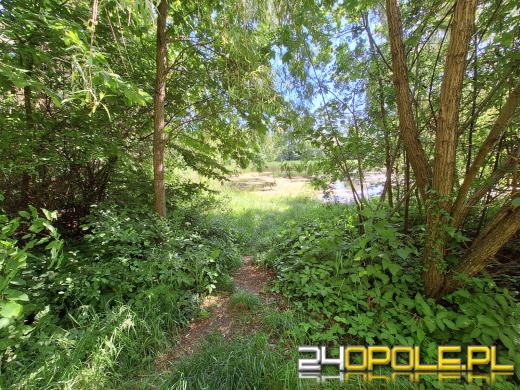 Wyspa Bolko obchodzi 110 urodziny