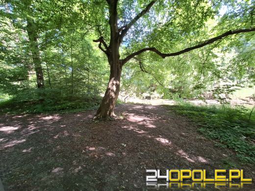Wyspa Bolko obchodzi 110 urodziny