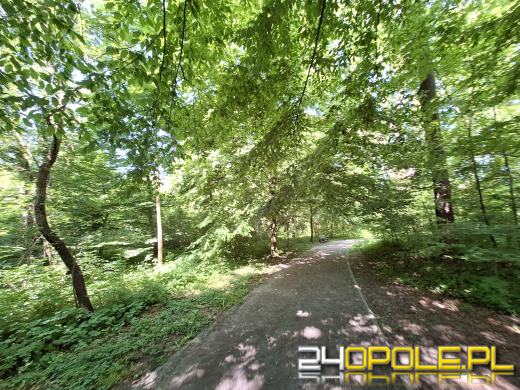 Wyspa Bolko obchodzi 110 urodziny