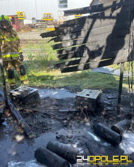 Pożar na terenie tartaku w Dziergowicach. Ogień zauważył strażak