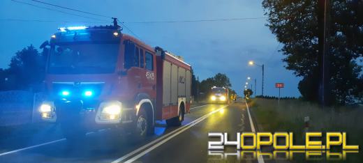 Zderzenie dwóch samochodów osobowych w Bukowie Śląskiej