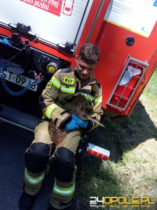 Strażacy z Leśnicy ruszyli na pomoc sarnie