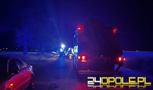 Potrącenie pieszej w Jankowicach Wielkich