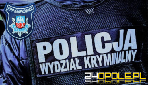 Poszukiwany za kradzieże z włamaniami - zatrzymany