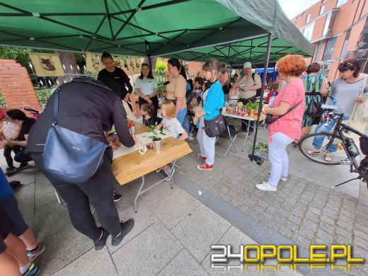 Trwa XII Piknik Rodzinny na Placu Kopernika