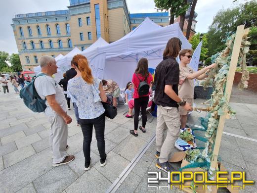 Trwa XII Piknik Rodzinny na Placu Kopernika