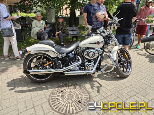 Na Placu Wolności w Opolu trwa 28 Festyn Fundacji Dom