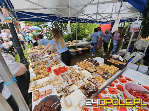 Na Placu Wolności w Opolu trwa 28 Festyn Fundacji Dom