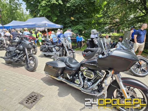 Na Placu Wolności w Opolu trwa 28 Festyn Fundacji Dom