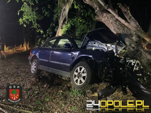 Poważny wypadek w gminie Strzeleczki. Samochód wbił się w drzewo