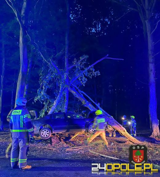 Poważny wypadek w gminie Strzeleczki. Samochód wbił się w drzewo