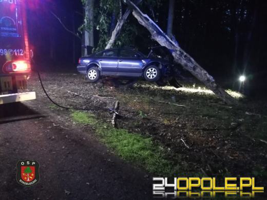 Poważny wypadek w gminie Strzeleczki. Samochód wbił się w drzewo