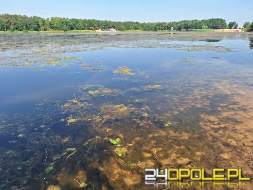 Jezioro średnie w Turawie kwitnie. Trwają prace na wodzie