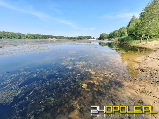 Jezioro średnie w Turawie kwitnie. Trwają prace na wodzie