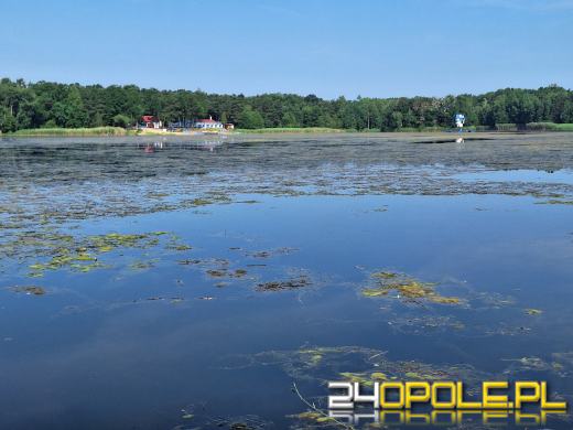 Jezioro średnie w Turawie kwitnie. Trwają prace na wodzie