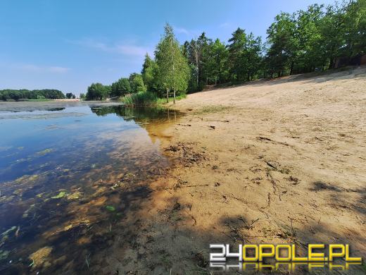 Jezioro średnie w Turawie kwitnie. Trwają prace na wodzie