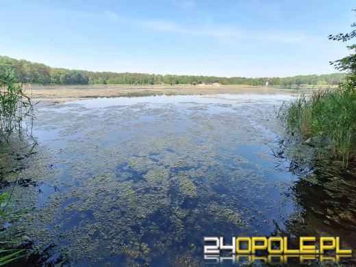 Jezioro średnie w Turawie kwitnie. Trwają prace na wodzie