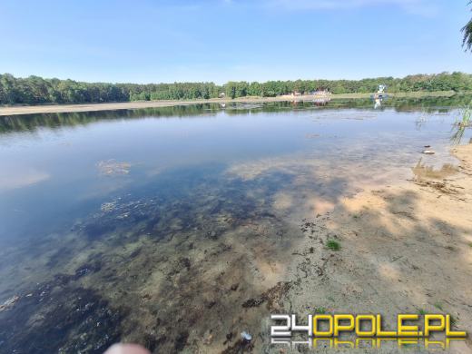 Jezioro średnie w Turawie kwitnie. Trwają prace na wodzie