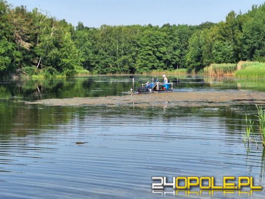 Jezioro średnie w Turawie kwitnie. Trwają prace na wodzie