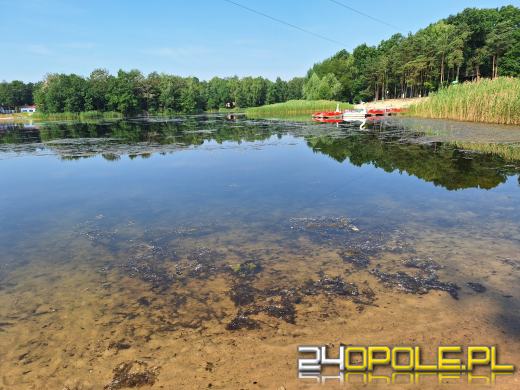 Jezioro średnie w Turawie kwitnie. Trwają prace na wodzie
