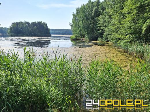 Jezioro średnie w Turawie kwitnie. Trwają prace na wodzie