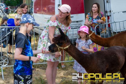 Powitanie wakacji z PPO na pikniku rodzinnym. Gwiazdą imprezy będzie Cleo! 