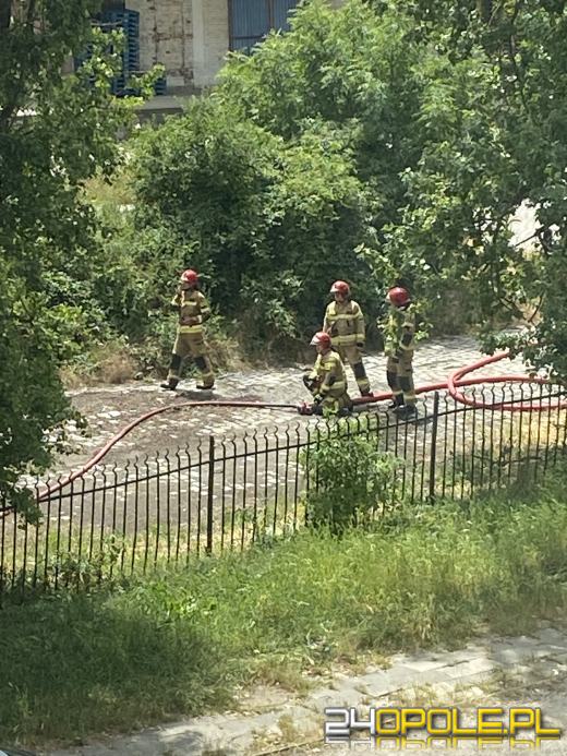 Pożar wraku pojazdu przy ulicy Armii Krajowej w Opolu