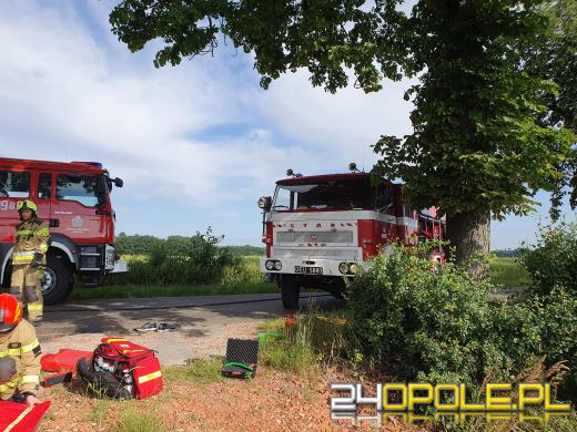 Poważny wypadek w powiecie kluczborskim. Auto roztrzaskało się na drzewie!