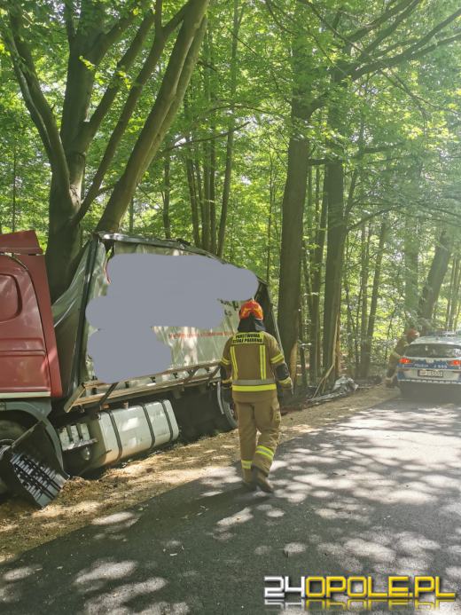 Kierowca ciężarówki uderzył w pojazd i zjechał na przydrożne drzewo